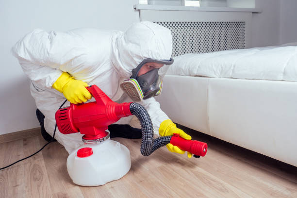 Real Estate Pest Inspections in Elyria, OH